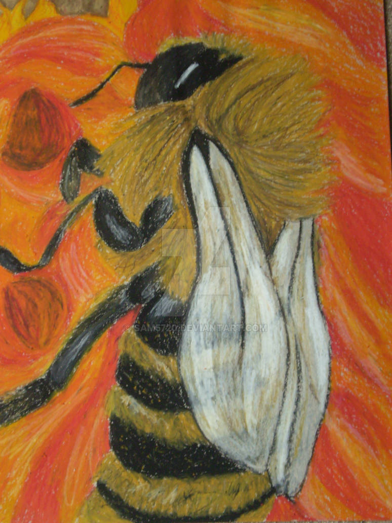 Fuzz Buzz. by sam5720 on DeviantArt