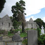 Muckross Friary graveyard