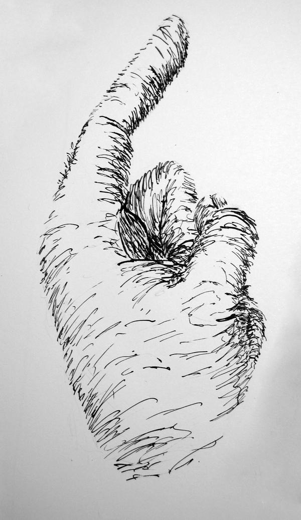 Pen and Ink Hand 5 by IllustratedSoldier on DeviantArt
