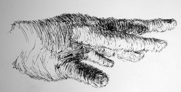 Pan X Ink Hand Pen and Ink Hand 8 by IllustratedSoldier on DeviantArt