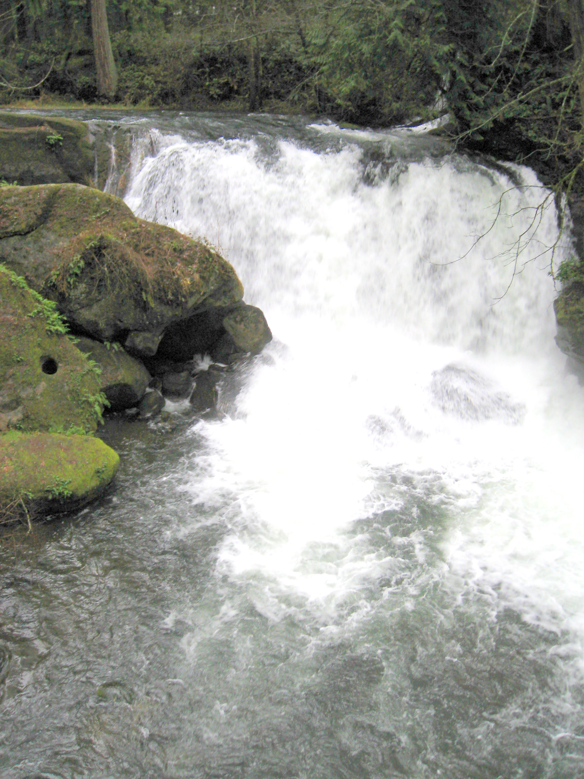 Whatcom Creek 3