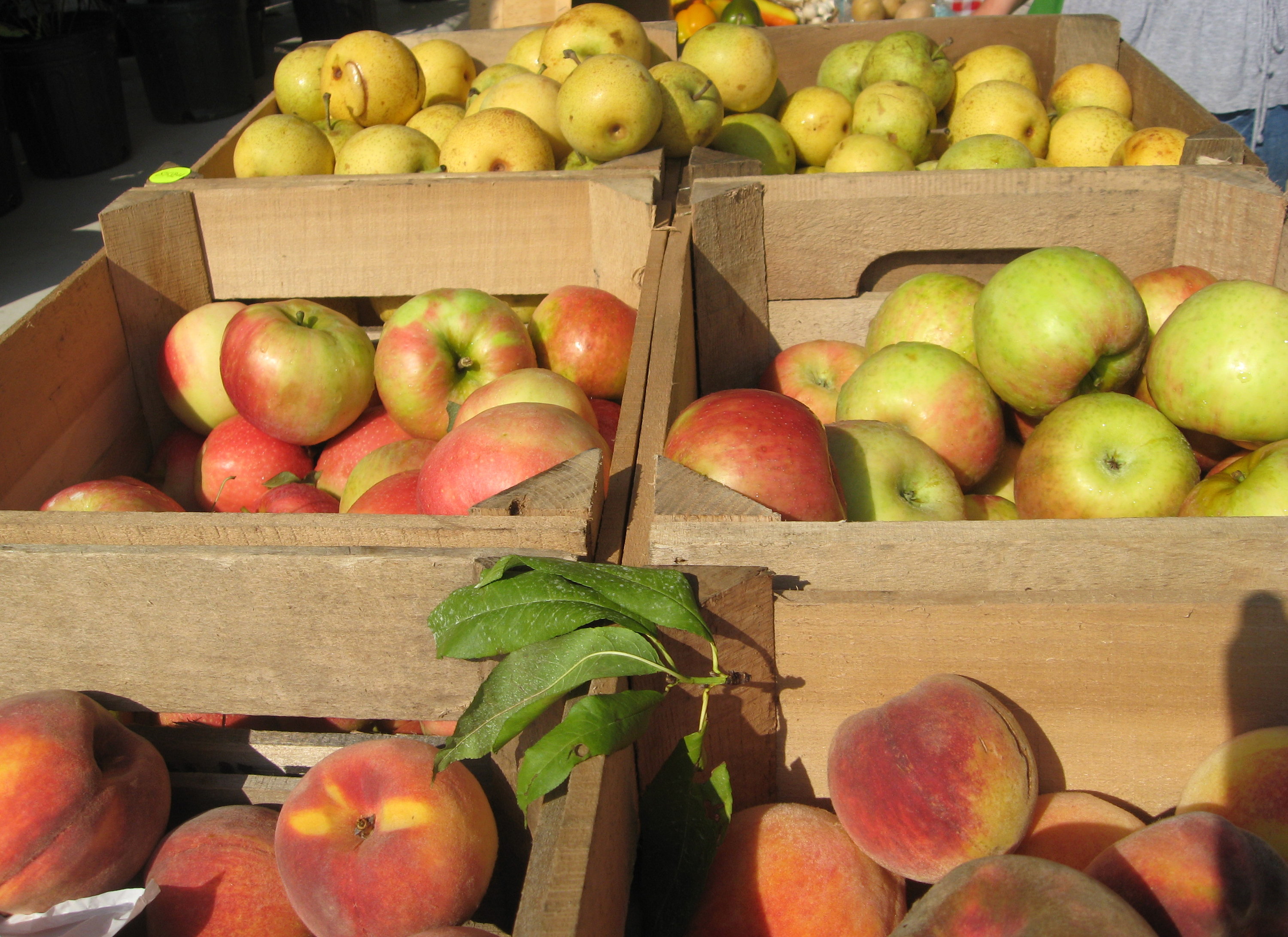 Apples in wooden crates