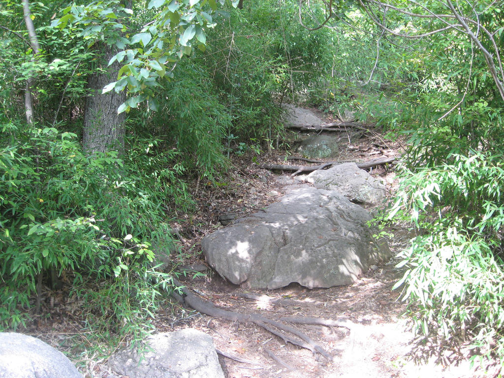 Asian Garden path 2