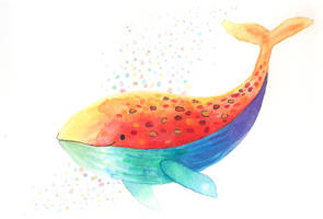 Rainbow whale