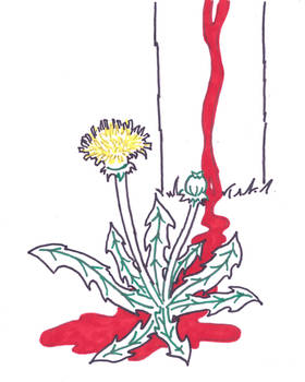 Dandelion