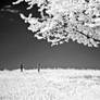 IR-2011-05