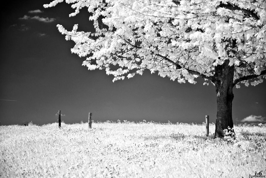 IR-2011-05