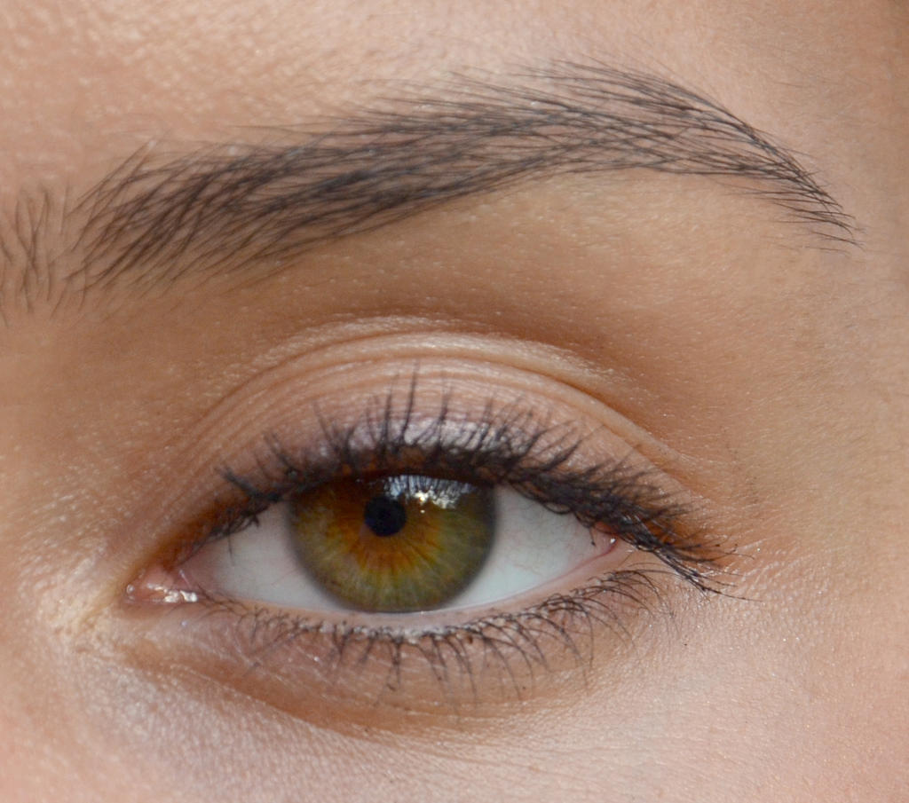 Single Eye Reference Portrait tutorial eye reference by VectorProfessor on DeviantArt
