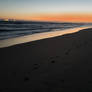 Night time at the beach