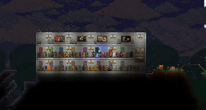 Terraria: Hall of Vigilance