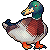 [F2U] mallard duck