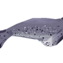 [F2U] leopard seal 3D pagedoll