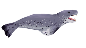 [F2U] leopard seal 3D pagedoll