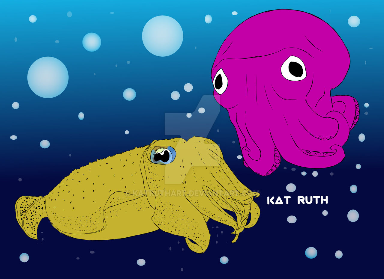 Water Pals (Cuttlefish and Squid) by KatRuthArt on DeviantArt