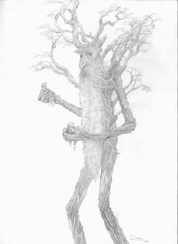 Treebeard