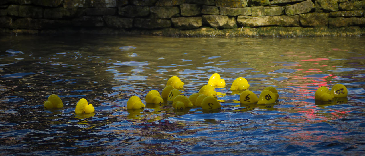 A Duck Race.. by EK-Photos on DeviantArt