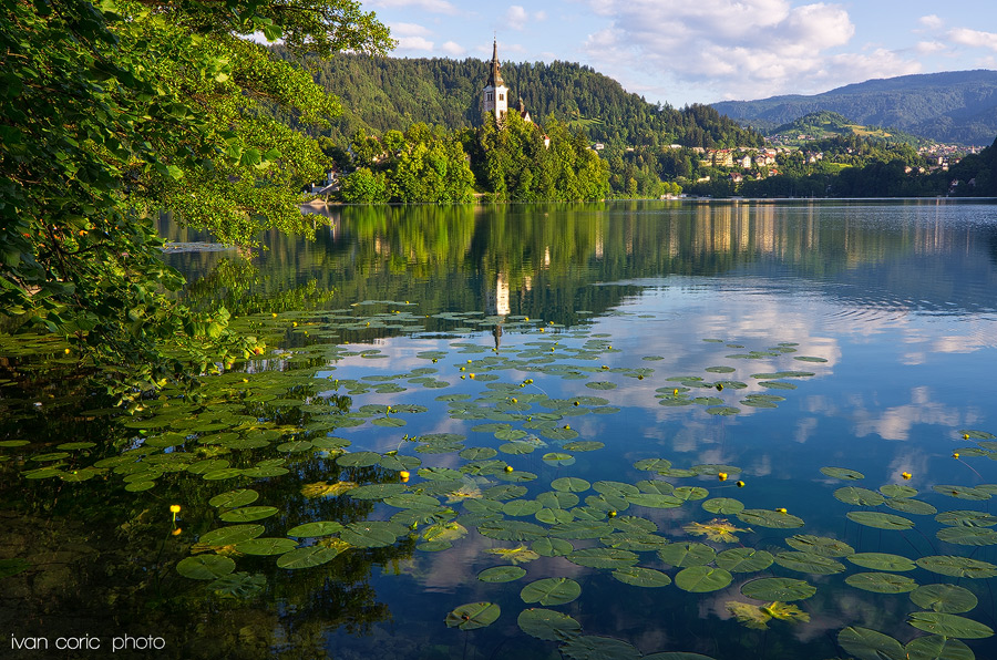 Morning at the lake Bled