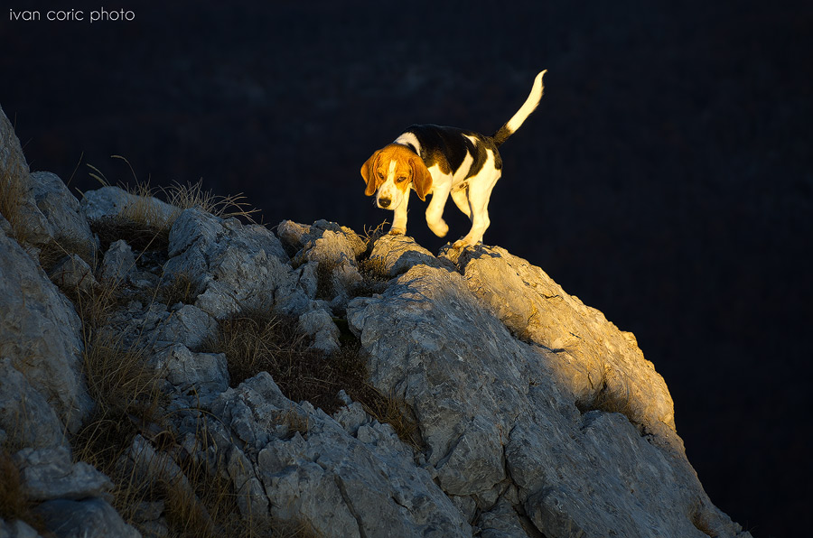 Bono climbing...