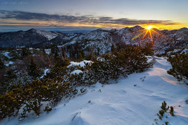 First winter sun