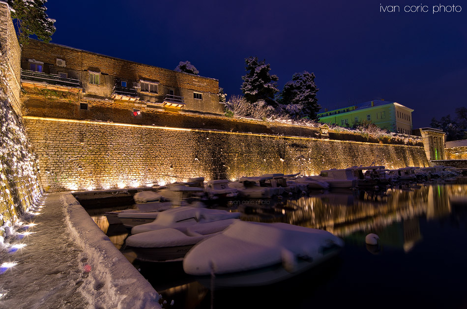 Fosa under the snow V