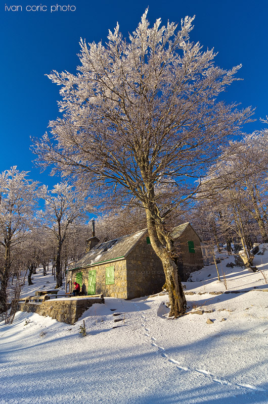 Summer house in winter