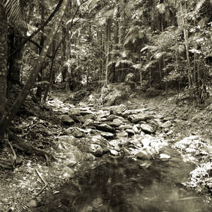 Creek2