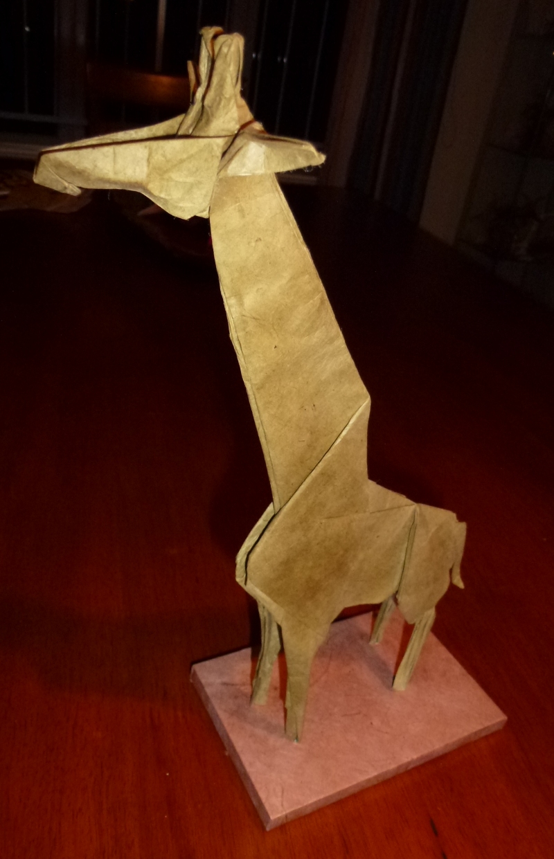 446 Satoshi Kamiya's Giraffe