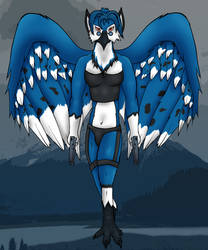 Bluejay