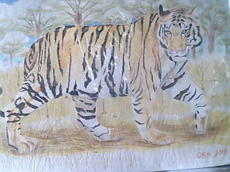 Tiger