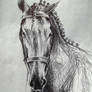 Dressage horse head sketch drawing