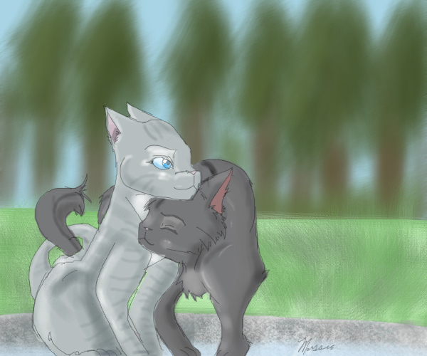 Graystripe and Silverstream