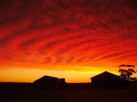 Country Sunset