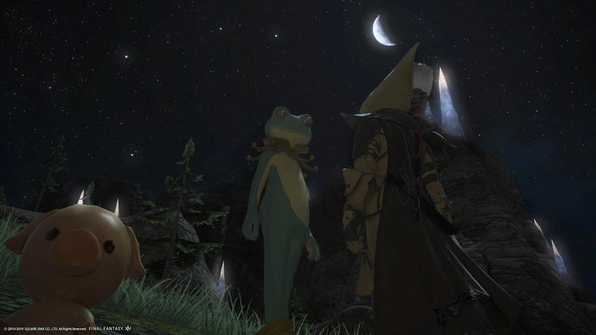 Frog Under The Moonlight Ffxiv By Blackorb00 On Deviantart Frog Under The Moonlight Ffxiv By Blackorb00 On Deviantart