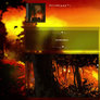 Aesthetic Forest Steam Profile
