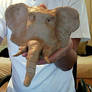 Clay Elephant head O.o