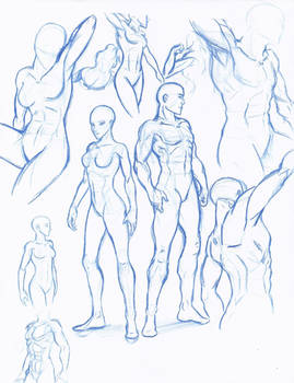 Figure drawing study