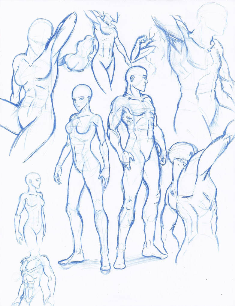 Female Figure 360  Human figure drawing, Male figure drawing, Drawings