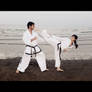 yop chagui Taekwondo Playa