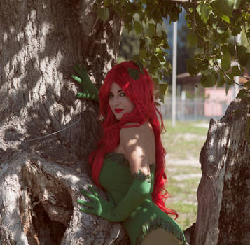 Poison Ivy