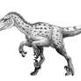 Deinonychus antirrhopus