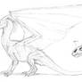 Dragon anatomy sketches