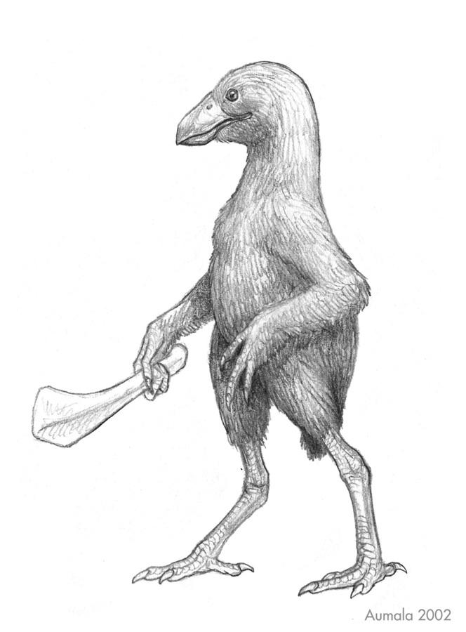 Uplifted Corvid by Osmatar on DeviantArt
