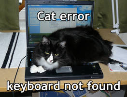 Cat error: keyboard not found