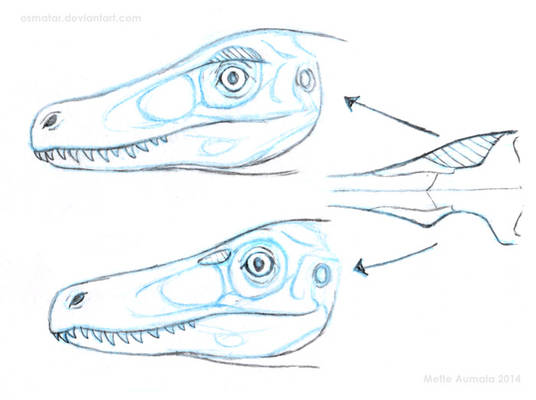 How (I think) deinonychosaur eye sockets work