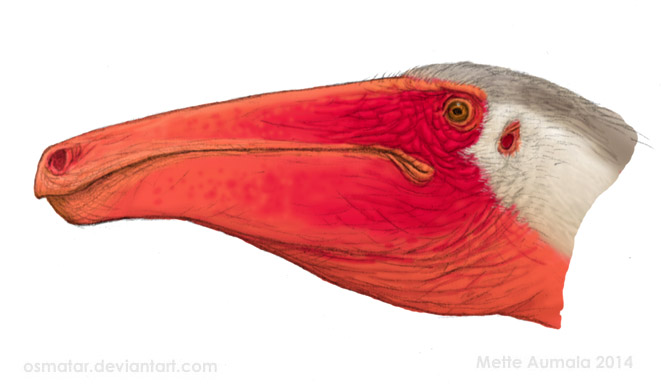 Deinocheirus portrait WIP