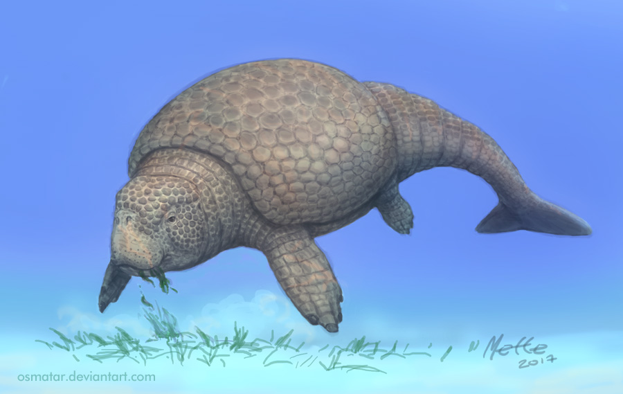 Marine Glyptodont