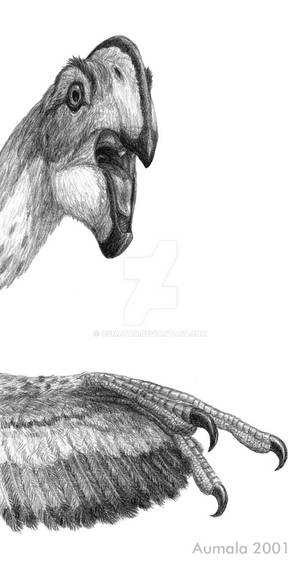 Dinosaur Storybook: Oviraptorosaur