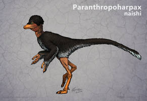 Dinosauroid: Evolution