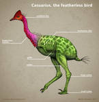 How not To Draw Feathered Dinosaurs By Osmatar On DeviantArt how-not-to-draw-feathered-dinosaurs-by-osmatar-on-deviantart