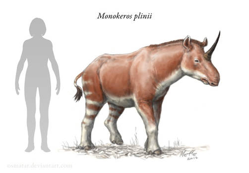 Monokeros, Pliny's Unicorn